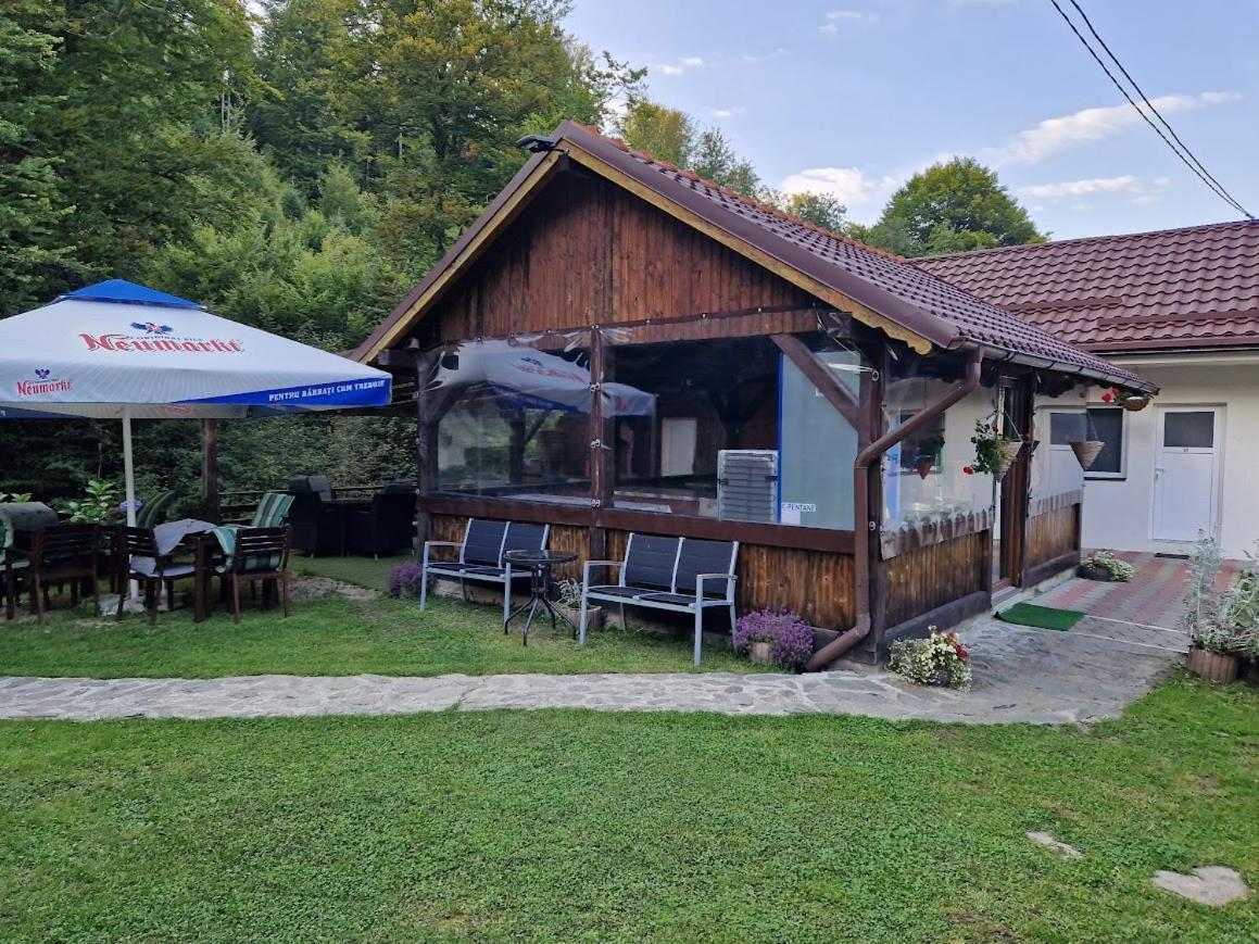 Casa Popa'S Hotel Cartisoara Ngoại thất bức ảnh