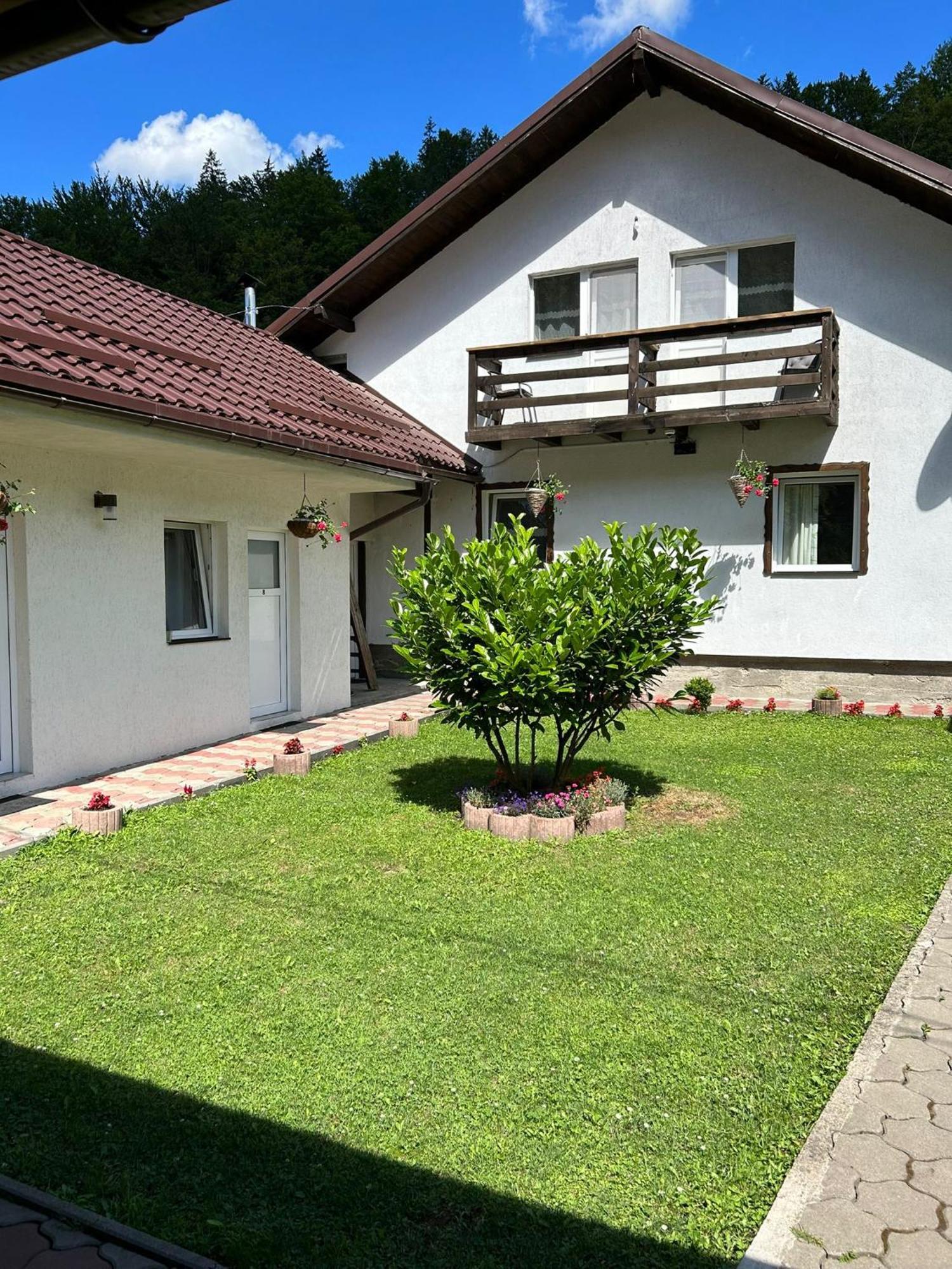 Casa Popa'S Hotel Cartisoara Ngoại thất bức ảnh